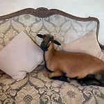 Guest house Le Chatenet Brantome