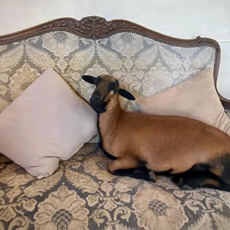 Гостевой дом Le Chatenet 1689 Брантом