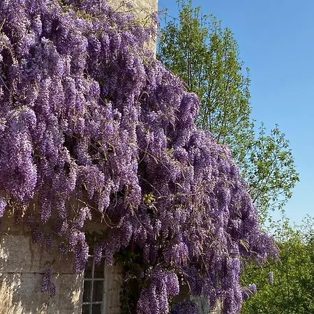 Le Chatenet 1689 3* Брантом