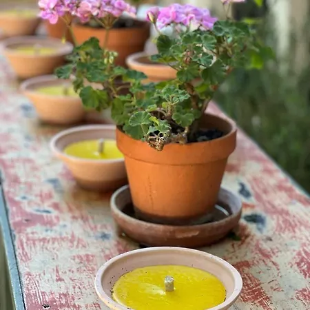 Гостевой дом Le Chatenet 1689