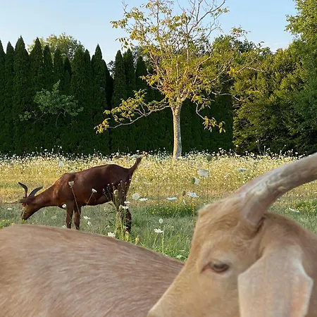 Le Chatenet 1689 Гостевой дом