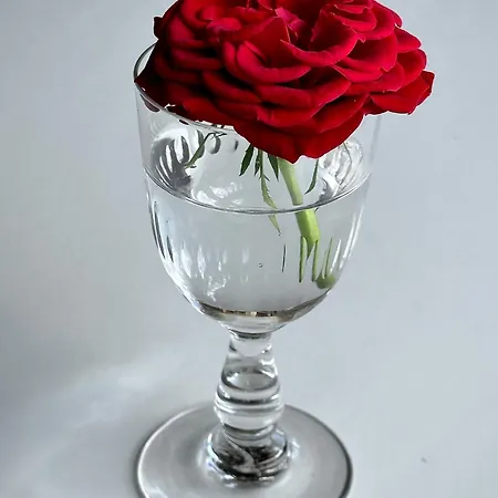 Гостевой дом Le Chatenet 1689 Брантом