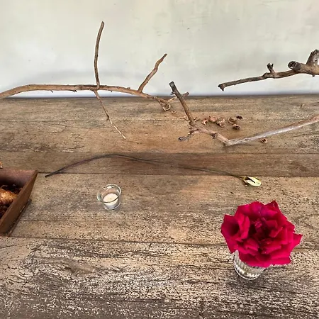 Le Chatenet 1689 3* Брантом