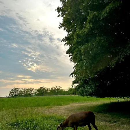 Le Chatenet 1689 Гостевой дом