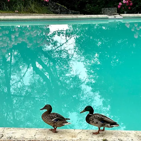 Гостевой дом Le Chatenet 1689