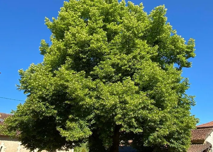 Le Chatenet 1689 Gasthuis 3*