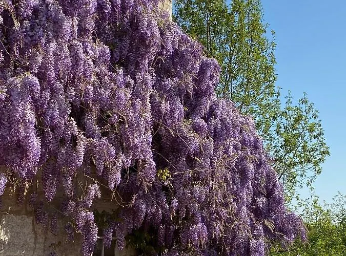 Le Chatenet 1689 3* Brantôme