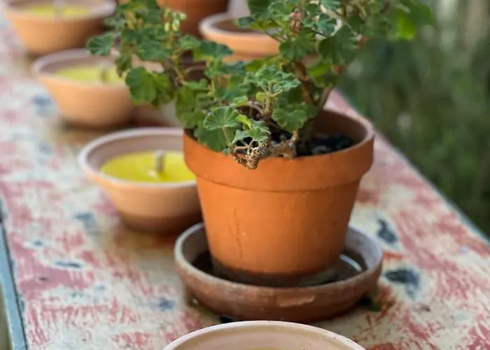 Gasthuis Le Chatenet 1689