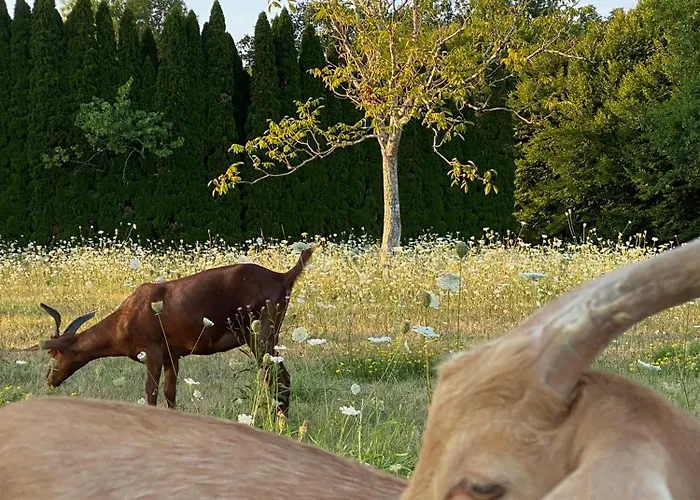 Le Chatenet 1689 Gasthuis