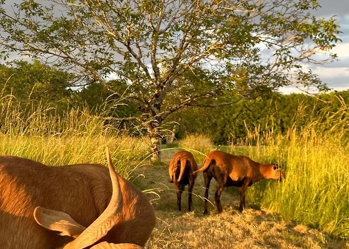 Le Chatenet 1689 Casa de hóspedes