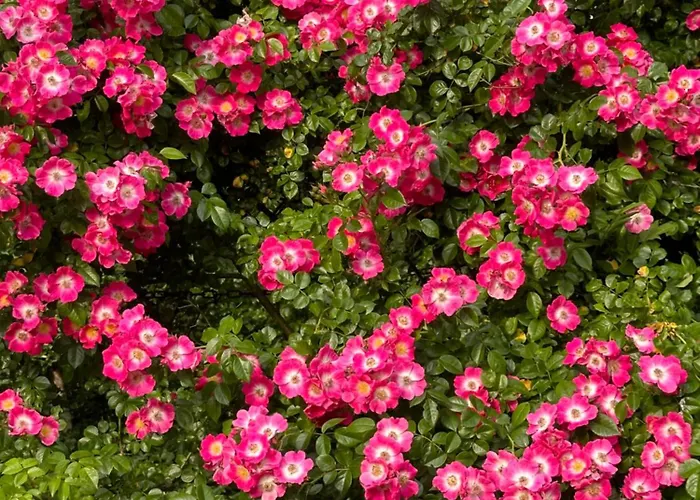 Le Chatenet 1689 Gasthuis 3*