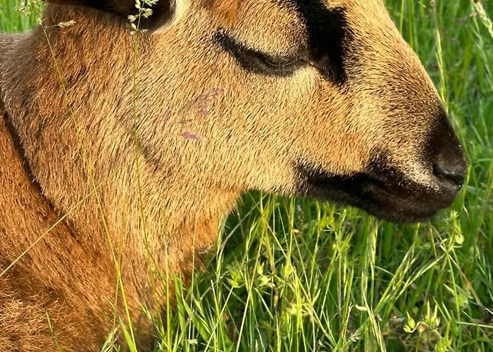 Le Chatenet 1689 Gasthuis Brantôme