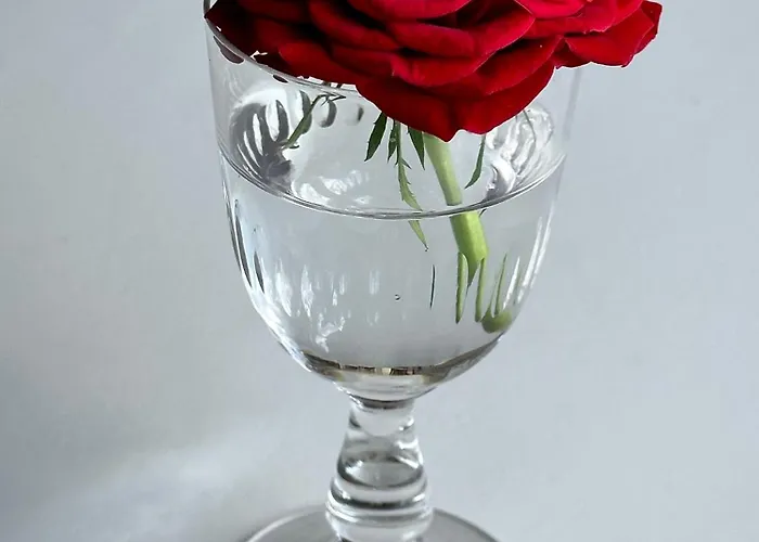 Gasthuis Le Chatenet 1689 Brantôme