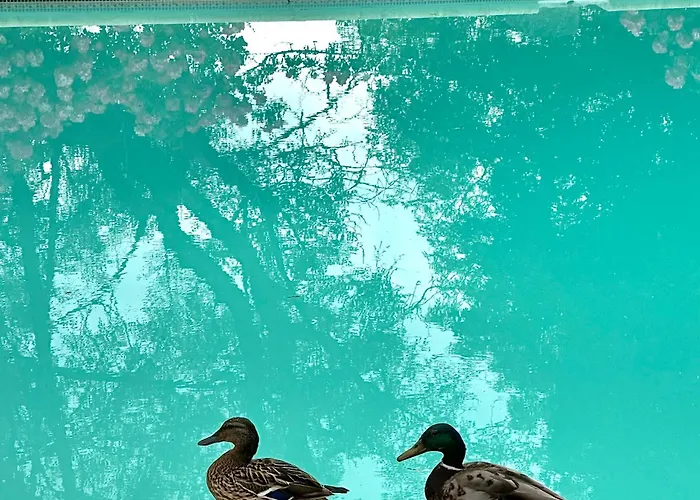 Gasthuis Le Chatenet 1689